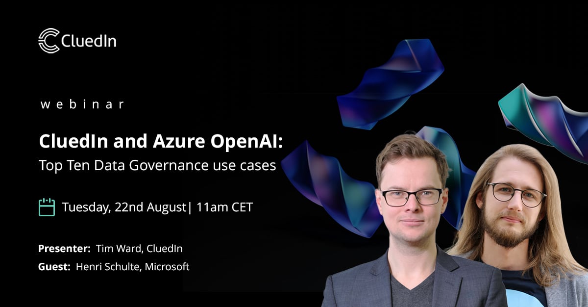 Cluedin-openai-data-governance