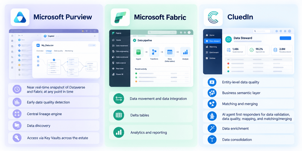 Microsoft Fabric, Purview and CluedIn: responsibilities in the solution