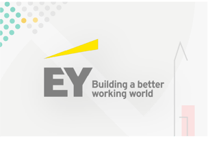 ernst-young-press ernst-young-press