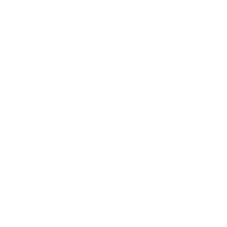 Search